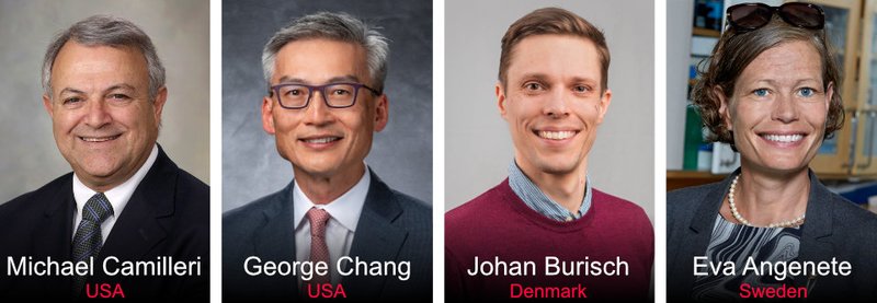 Visiting Professors Photo Spread 2025 v5 960